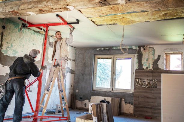 Best Eco-Friendly Insulation in Shark River Hills, NJ