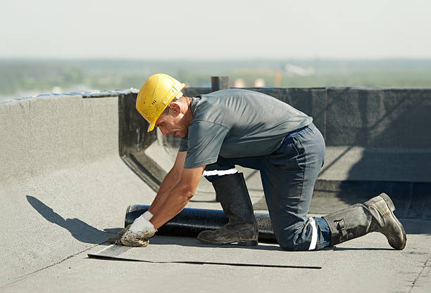 Best Cellulose Insulation in Shark River Hills, NJ